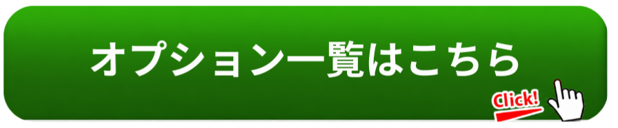 オプション一覧はこちら