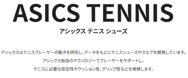 靴紹介文